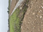 405 Sq.Yd. Warehouse in Kadodara