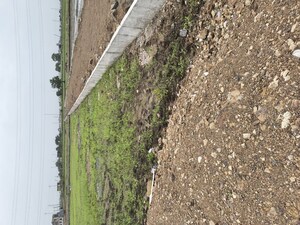  Warehouse For Sale in Kadodara