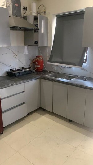 Kitchen in 1 BHK Apartment at Aura Homes, Patiala Road – for Rent