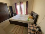 1 BHK 420 Sq.Ft. Apartment in Rosa Elite