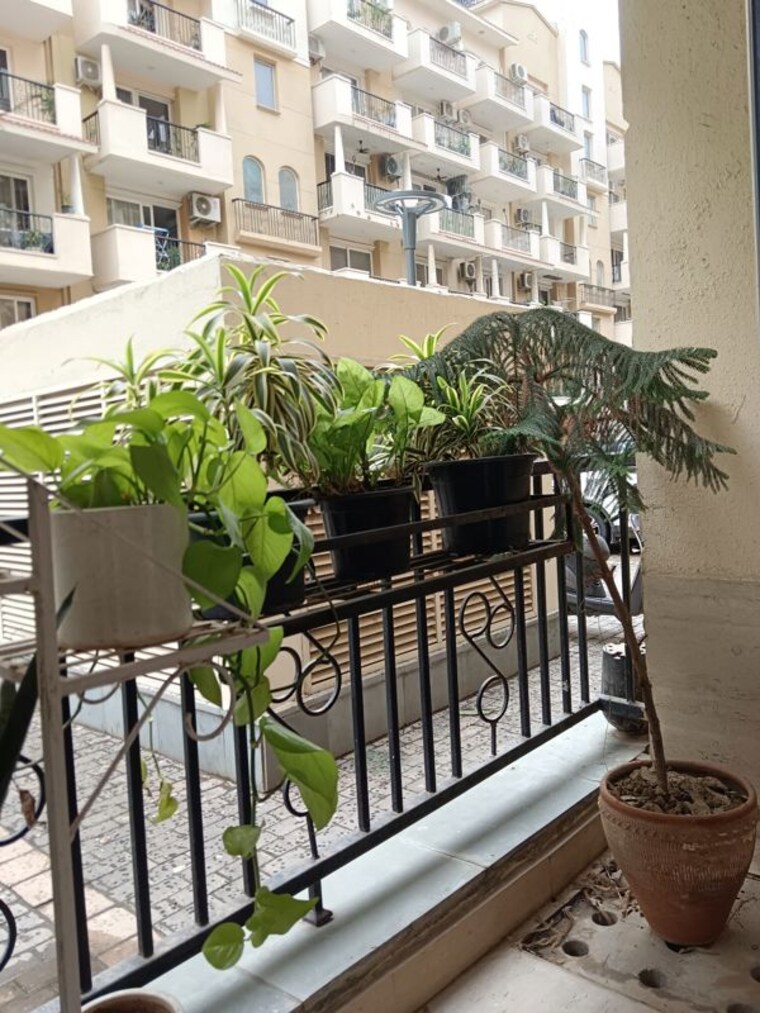 Balcony, emaar-emerald-floors-premier 4 Bedroom 1975 Sq.Ft. Apartment In Sector 65 Gurgaon 10584988