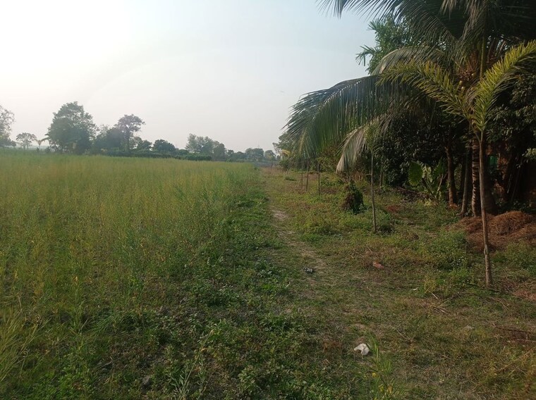 undefined, pipli  3655 Sq.Ft. Plot In Pipli Kolkata 10574752