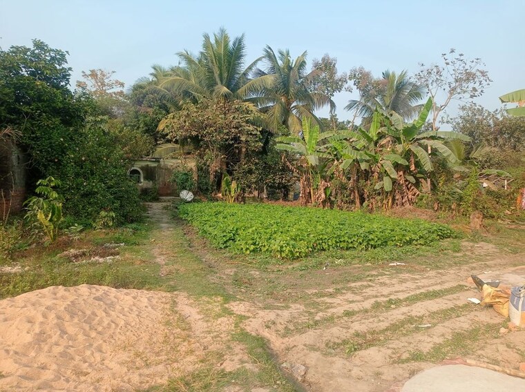 Garden, pipli  3655 Sq.Ft. Plot In Pipli Kolkata 10574752