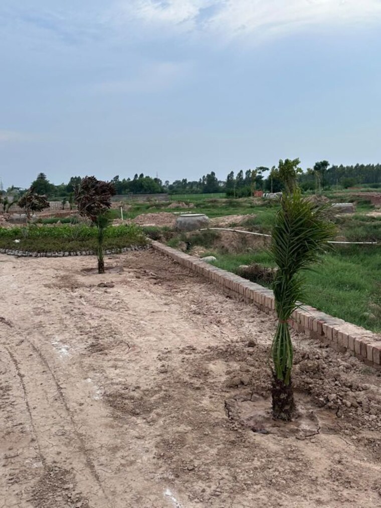 undefined, sbp-hillwood-greens  125 Sq.Ft. Plot In Lalru Mohali 10585097