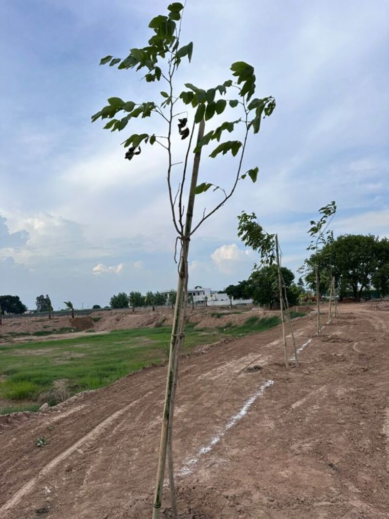 undefined, sbp-hillwood-greens  125 Sq.Ft. Plot In Lalru Mohali 10585097