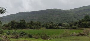 Plot Area in  Plot at Nasik Road – for Sale
