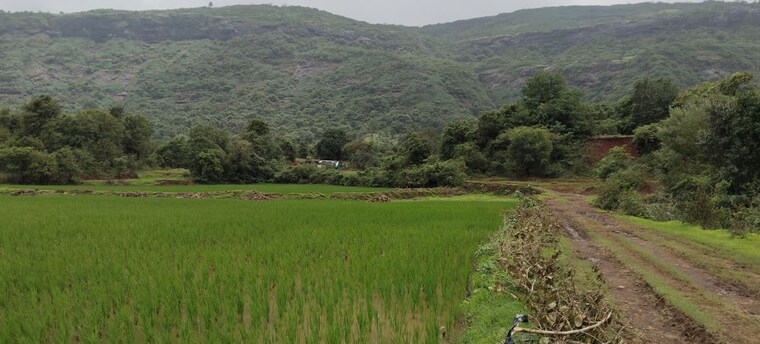 undefined, nasik road  1 Acre Plot In Nasik Road Nashik 10585252