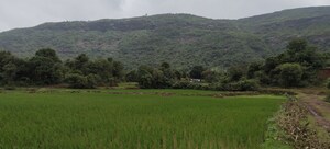 Plot Area in  Plot at Nasik Road – for Sale