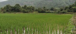 Plot For Sale in Nasik Road
