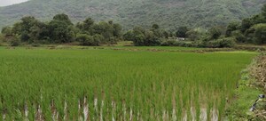  Plot For Sale in Nasik Road