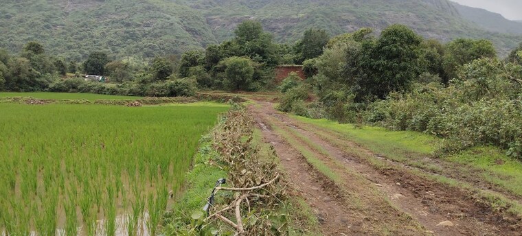 Garden, nasik road  1 Acre Plot In Nasik Road Nashik 10585252