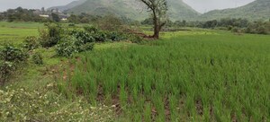 Plot Area in  Plot at Nasik Road – for Sale