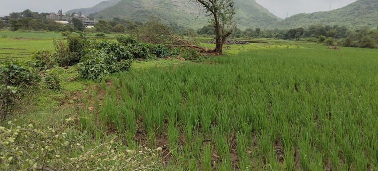 undefined, nasik road  1 Acre Plot In Nasik Road Nashik 10585252