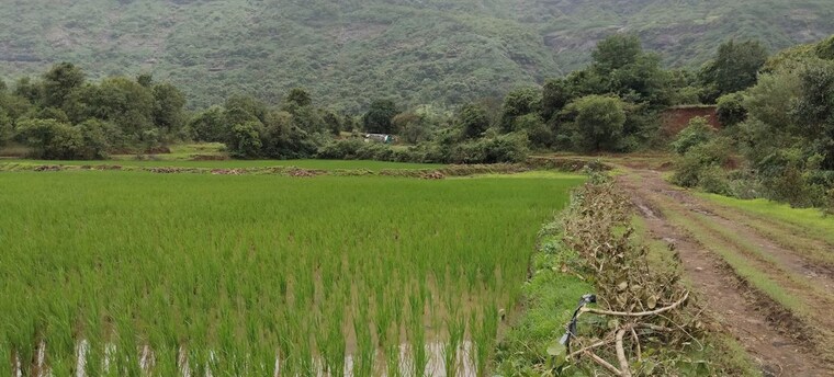 Garden, nasik road  1 Acre Plot In Nasik Road Nashik 10585252
