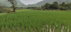 Plot – Garden View at Nasik Road - for Sale