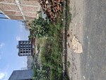204 Sq.Yd. Plot in Sector 80