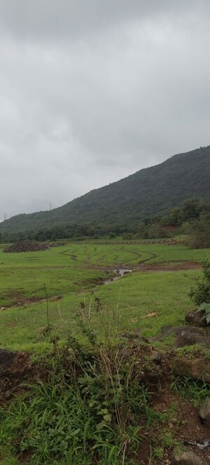 Plot Area in  Plot at Nasik Road – for Sale