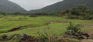 Plot Area in  Plot at Nasik Road – for Sale