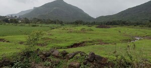 Plot Area in  Plot at Nasik Road – for Sale