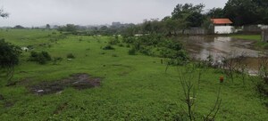 Plot Area in  Plot at Ghoti – for Sale