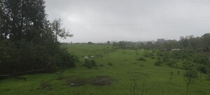 Plot Area in  Plot at Ghoti – for Sale
