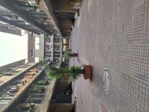 1 BHK Apartment For Rent in Mahape