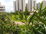 2 BHK 675 Sq.Ft. Apartment in Virar West