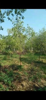 605 Sq.Yd. Plot in Bibinagar