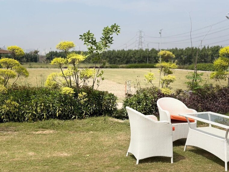 Garden, tech zone greater noida  1000 Sq.Ft. Plot In Tech Zone Greater Noida Greater Noida 10582539