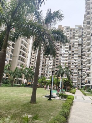  Apartment For Sale in Sector 143