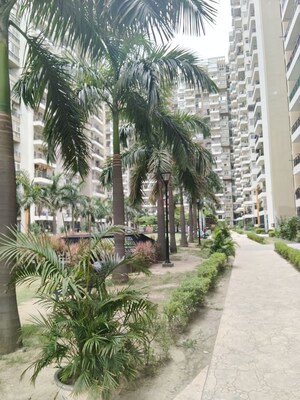  Apartment – Exterior View View at Sector 143 - for Sale