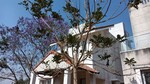 4 BHK 2200 Sq.Ft. Villa in Jains Villa Vivianaa