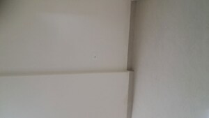 Room in 2 BHK Apartment at Gandhi Nagar – for Rent