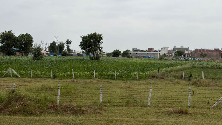 undefined, greater-noida-authority-plots  85 Sq.Mt. Plot In Sector 24 Yamuna Expressway Greater Noida 10586118