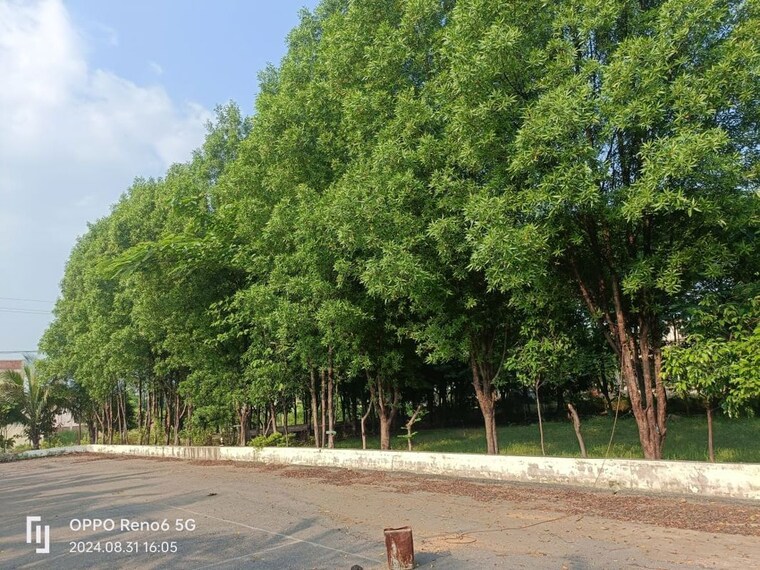 undefined, kaivalya dham  1200 Sq.Ft. Plot In Kaivalya Dham Raipur 10586122