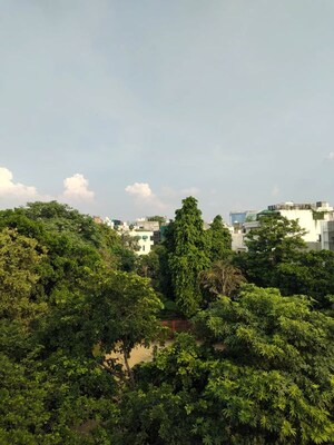 3 BHK Builder Floor – Garden View at East Of Kailash - for Sale