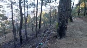 Plot Area in  Plot at Ranikhet – for Sale