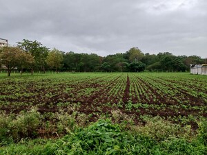  Plot For Sale in Trimbak