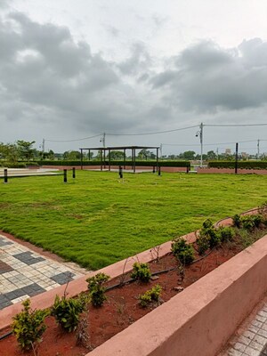 Plot Area in  Land at Ringnodiya – for Sale