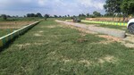 2000 Sq.Ft. Land in Milkipur
