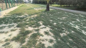 Plot Area in  Plot at Raebareli Road – for Sale