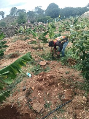 Plot Area in  Plot at Denkanikottai – for Sale
