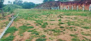 Plot Area in  Plot at Denkanikottai – for Sale