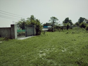 Plot Area in  Plot at Nurpur Jharsa – for Rent