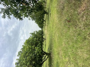  Plot – Garden View at Surampalli - for Sale