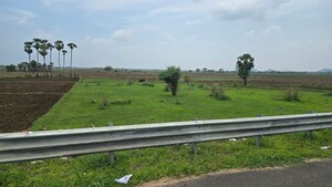 Plot Area in  Plot at Surampalli – for Sale