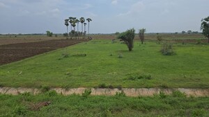 Plot Area in  Plot at Surampalli – for Sale