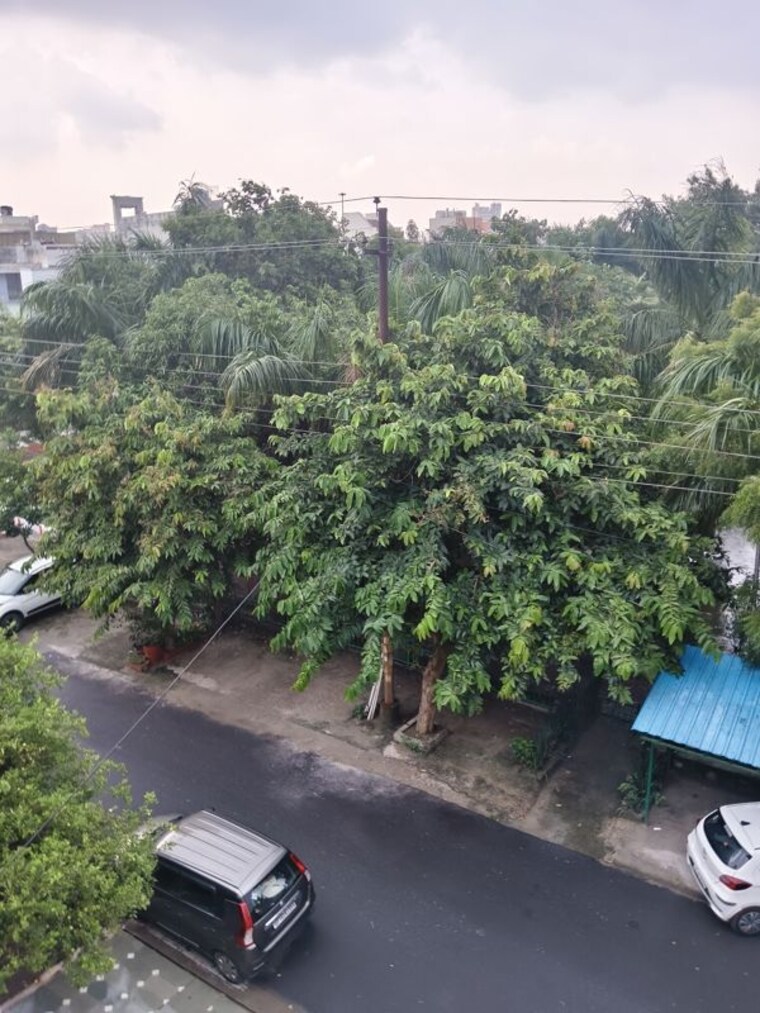 Garden, rwa-apartments-sector-52 3 Bedroom 1500 Sq.Ft. Apartment In Sector 52 Noida 10586775