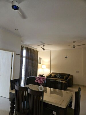 Living Room in 3.5 BHK Apartment at Barnala Green Lotus Avenue, Ambala Highway – for Rent