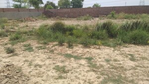 Plot Area in  Plot at Varanasi Chowk – for Sale
